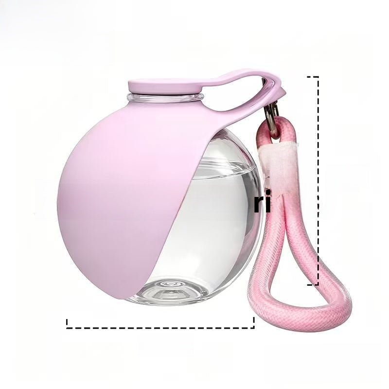 Portable spherical stainless steel pet bottle