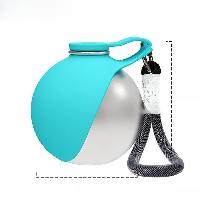 Portable spherical stainless steel pet bottle