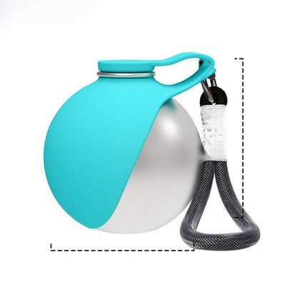 Portable spherical stainless steel pet bottle