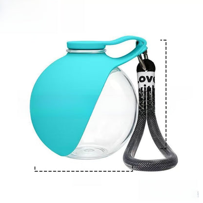 Portable spherical stainless steel pet bottle