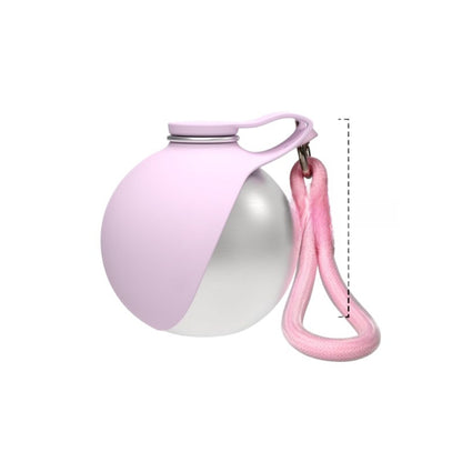 Portable spherical stainless steel pet bottle