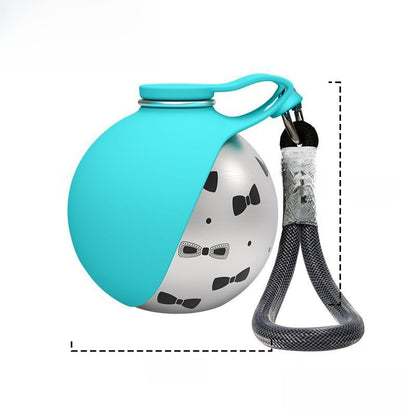 Portable spherical stainless steel pet bottle