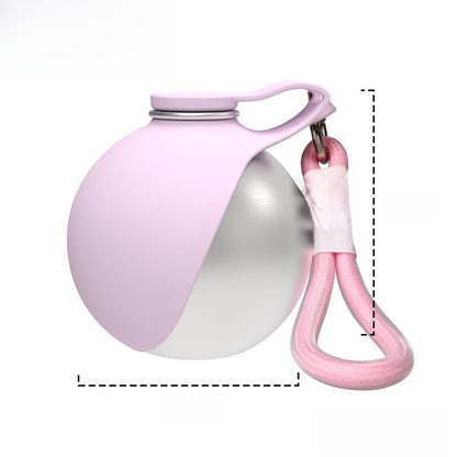 Portable spherical stainless steel pet bottle